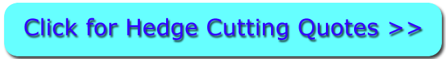 Salisbury Hedge Cutting Quotes (01722)