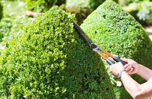 Hedge Trimming in the Bidford-on-Avon Area