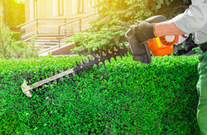 Hedge Cutting Rochdale Greater Manchester OL11