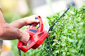 Hedge Cutting How Wood