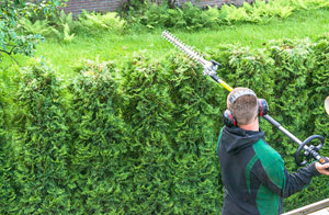 Hedge Trimming in the Whitworth Area