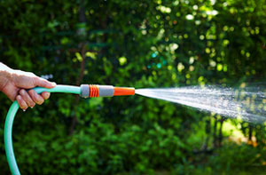 Hedge Watering and Irrigation Felpham