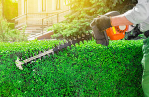 Hedge Cutting Seer Green