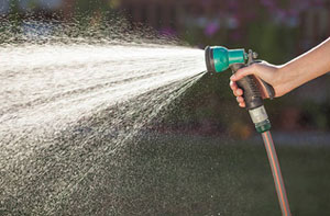 Hedge Watering and Irrigation Warlingham